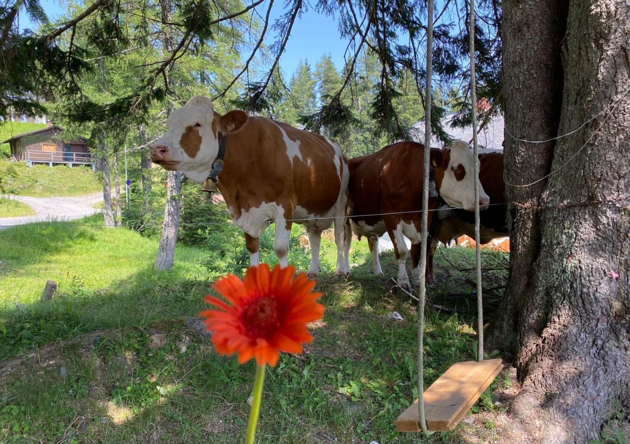 Gemuetliche Huette In Den Bergen Villa Sonnenalpe Nassfeld Eksteriør bilde