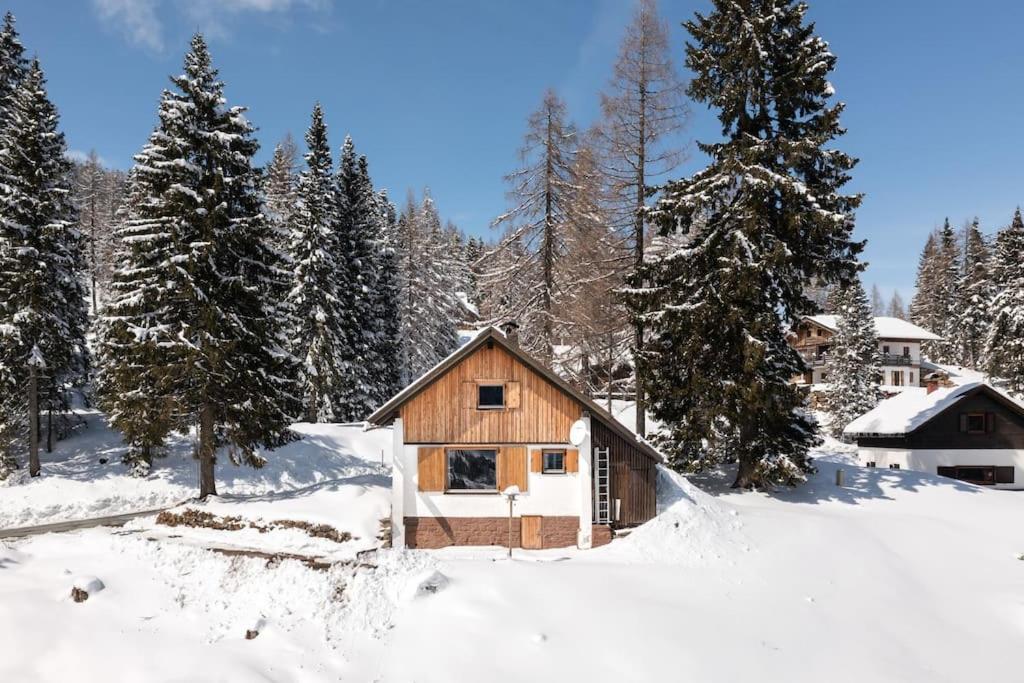 Gemuetliche Huette In Den Bergen Villa Sonnenalpe Nassfeld Eksteriør bilde